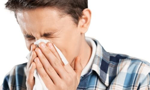 allergy Burnside Air